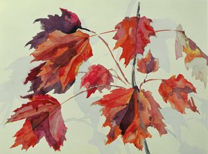 Nr.24 Herfst Esdoornbladeren door Izabella Godlewska de Aranda