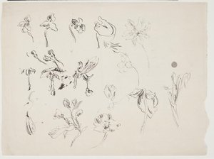 Bloemschetsen door J.A. Jerichau