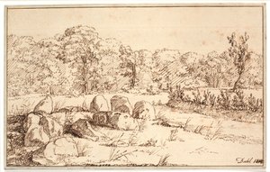 Landschap met resten van een hunebed
