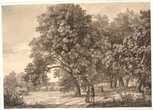 Uitzicht op een weg in een bos bij Sorø, Seeland