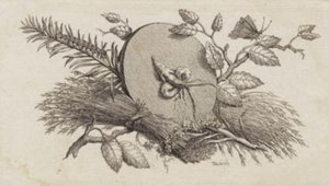 Een cirkelvormige schijf tussen bladeren en insecten door J.F. Clemens