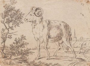 Een ram door J.F. Clemens