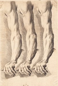 Studieblad van armen door J.F. Clemens