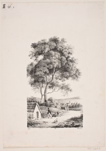 Wandelaars op een weg, links hoge bomen