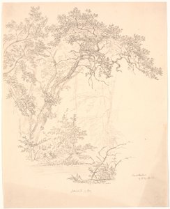 Bomen door J.P. Møller