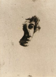Fragment van een hoofd
