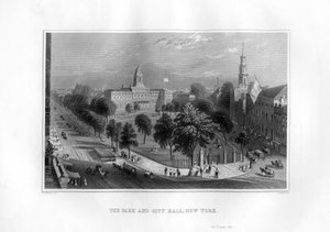 Het park en het stadhuis, New York
