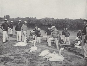 Zwanen op de Theems, onderzoeken van de Oude Vogels door J. Benjamin Stone