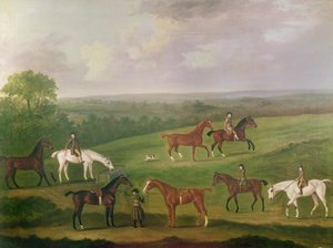 Paarden bij Oefening