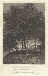Robert Bloomfield, dichter: Fakenham vanuit Euston Park