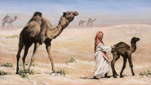  door J Hugh L Beattie