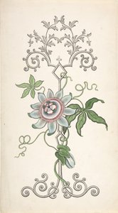 Ontwerp voor paneeldecoratie gecentreerd op een passiebloem door J Hulme