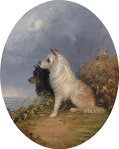 Twee honden op het strand door J. Langlois