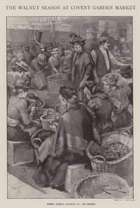 Het walnotenseizoen op Covent Garden Market, Londen (litho) door J. Macfarlane
