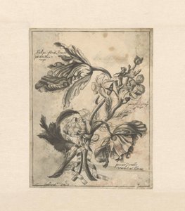 Bloemen met een lint samengebonden Tulipe fond Jaune / Panachée de rouge / Giroflée simple rouge / (...) double violet et blanc door J. Porteret
