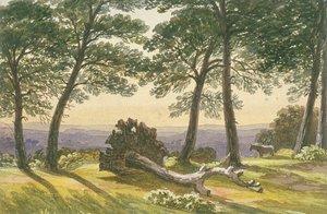Hampstead Heath, Londen