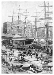 Scheepvaart, Circular Quay, Sydney, New South Wales, Australië, 1886