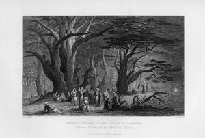 Oude ceders in het woud van Libanon, 1841