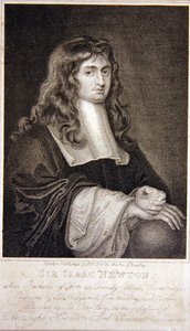 Sir Isaac Newton door J. T. Wedgewood