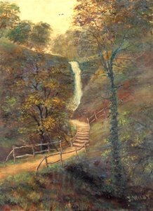 Shanklin Chine, Isle of Wight, 1911 door J. Wilby