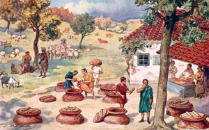 Het Romeinse Rijk - plattelandsleven (landbouw, wijn maken)