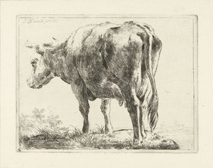 Staande koe