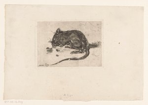 Muis door Jac van Looij