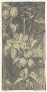 Tros Keizer-Alexander-appels door Jac van Looij