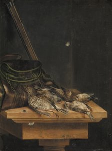 Dode vogels