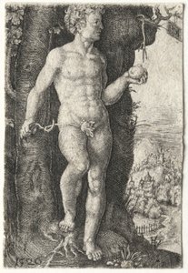 Adam, 1526
