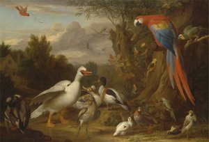 Een Ara, Eenden, Papegaaien en Andere Vogels in een Landschap