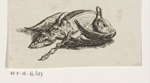 Dode eend door Jacob Elias van Varelen