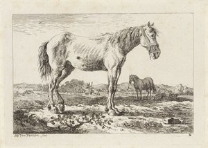 Staand paard in een landschap