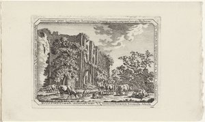 Vee bij de ruïne van Brederode