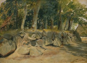 De Stenen Muur in Sottorf, 1839 door Jacob Gensler