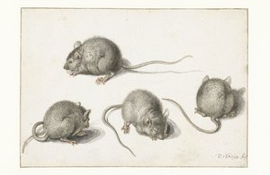 Vier Studies van een Zieke Muis