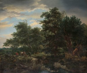 Boslandschap