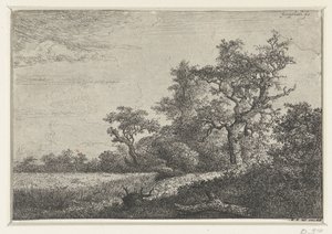Het korenveld door Jacob van Ruisdael