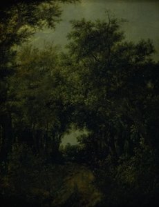 Weg in een eikenbos