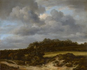 Korenveld