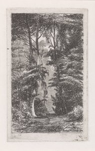 Boslaan door Jacob Jan van der Maaten