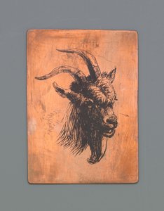 Kop van een bok door Jacob Maris