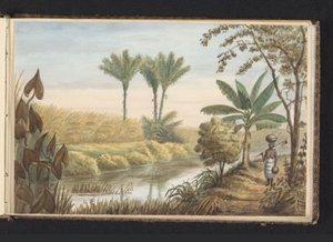 Gezicht op veld met suikerriet plantage Visserszorg door Jacob Marius Adriaan Martini van Geffen