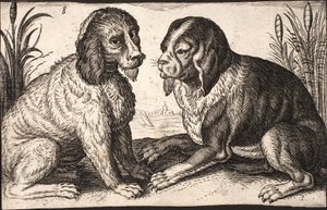 Twee honden aan een meer