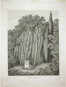 Treurwilg door Jacob Philipp Hackert