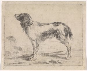 Staande hond