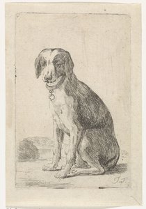 Zittende hond met halsband