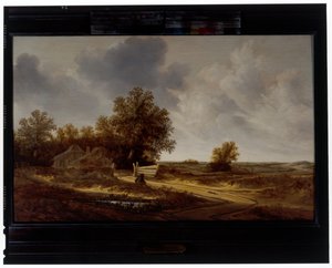 Aan de kant van de weg