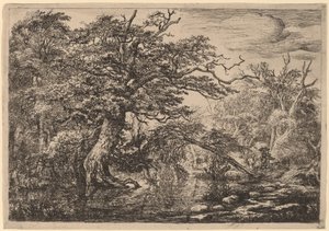 Een Bosmoeras met Reizigers op een Oever (De Reizigers) door Jacob van Ruisdael