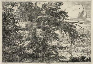 Huisje op de top van een heuvel door Jacob van Ruisdael